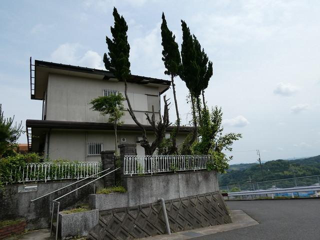 dsc00175